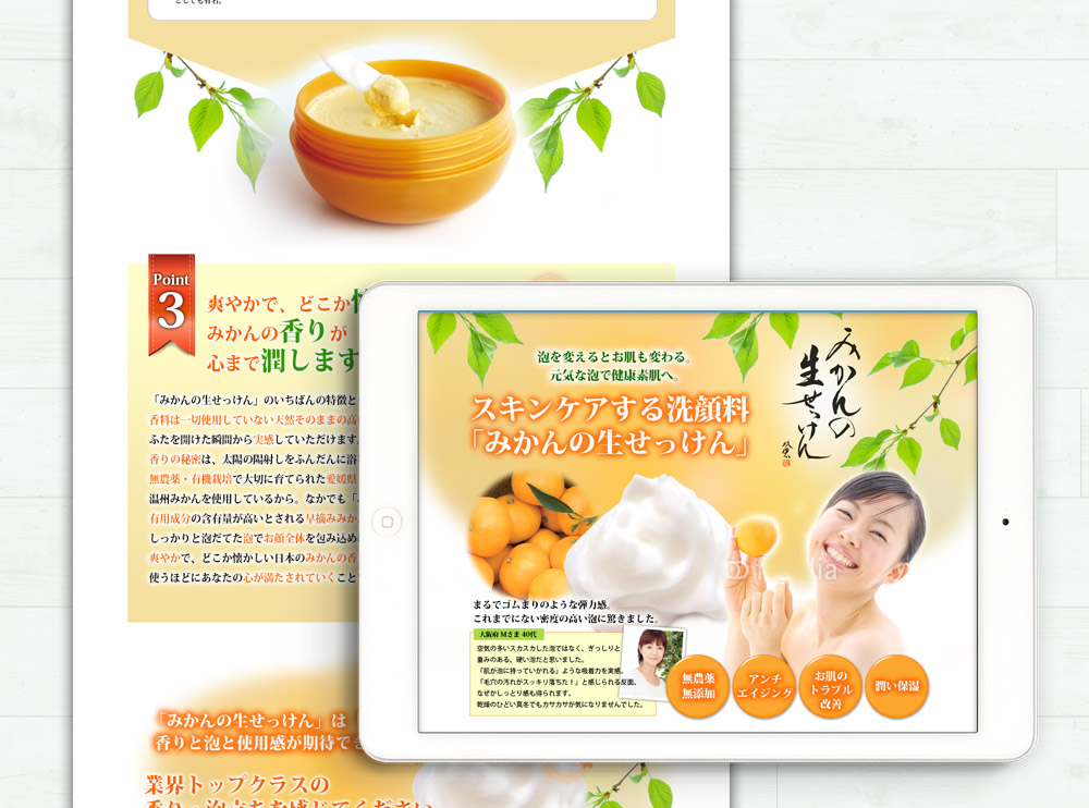 LP-layout-5